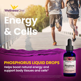 WellnessOne Liquid Phosphorus Supplements - Ionic Phosphorus Supplement from Ortho Phosphoric Acid for Healthy Bones & Teeth, Protein & Energy Production - Non-GMO, Vegan, Gluten Free - 1.67 fl oz