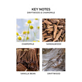 NEST New York Driftwood & Chamomile Wall Diffuser Refill, Set of 2