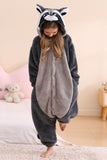 DELEY Unisex One Piece Animal Adult Raccoon Onesie, Animal Pajamas Halloween Cosplay Costume for Women and Mens Parent-Child Sleepwear