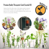 Natures-Star 16oz - Bulk Size Peppermint Essential Oil (16 Ounce Total) - Therapeutic Grade Essential Oil - 16 Fl Oz Bottle