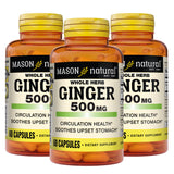 MASON NATURAL Whole Herb Ginger 500 mg - Healthy Circulation Support and May Sooth Upset Stomach*, Natural Herbal Supplement, 60 Capsules (Pack of 3)