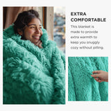 Bedsure Soft Aruba Blue Twin Blanket for Bed, Fluffy Fuzzy Blankets Twin Size for Couch, Sofa, Cozy Plush Sherpa Fleece Faux Fur Blanket, Thick Warm Christmas Blanket Gifts for Women, Men, 60x80