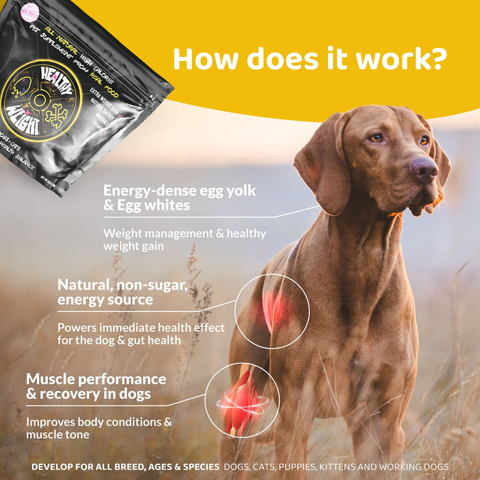 ROGUE PET SCIENCE Healthy Weight Natural Weight Gainer for Dogs Hi