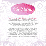 Ola Prima Oils - Clove Essential Oil (16oz Bulk) for Aromatherapy, Diffuser, Soap, Skin Moisturizer