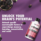HEALTH DIRECT - AminoMind - Nootropic Collagen Supplement for Brain Health and BDNF - Pro-Hyp & Hyp-Gly Dipeptides, Coffeeberry Antioxidants - BlackBerry - 14 Fl Oz (28 Servings)