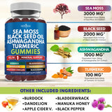 New Age Superfood Gummies – Sea Moss & Herbal Blend – 120 Count