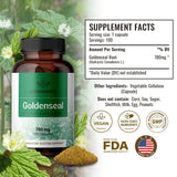 HERBAMAMA Goldenseal Root Capsule Supplement - Organic Goldenseal Herb Powder Pills - Respiratory & Digestive Function - 100 Capsules