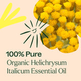 Plant Therapy Organic Helichrysum Italicum Essential Oil for Skin 100% Pure, USDA Certified Organic, Undiluted, Natural Aromatherapy for Diffusion, Therapeutic Grade 2.5 mL (1/12 oz)