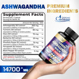 Ashwagandha Supplements 14700mg - Memory, Immune System & Strength Support - 7in1 Concentrated with Turmeric, Maca Root, Berberine & More - 90 Vegan Capsules for 3-Month Supply