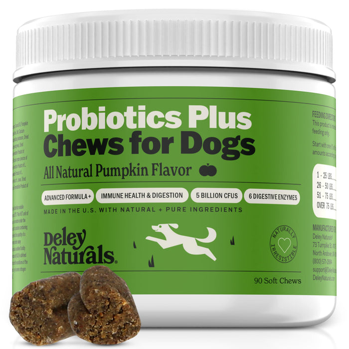 Deley Naturals Probiotics Plus Chews for Dogs, Gut Health Supplement, 5 Billion CFU's, Digestive Enzymes, Prebiotics, Dog Allergies, Diarrhea, Yeast, Pumpkin Flavor, 90 Count - Made in The USA