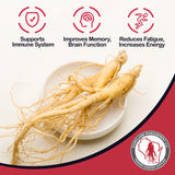 Dairyland American Ginseng Slices - 8 oz Pack Wisconsin Ginseng Slices - Authentic American Ginseng - Non-GMO, Gluten Free Ginseng Root Slices - Use This Herbal Supplement in Soup, Tea, Congee