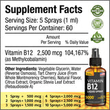(2 Pack) - Liquid B12 Spray - Vitamin B12 Sublingual - Vegan B12 Vitamin Spray - Methylcobalamin Vitamin B12 Liquid Boosts Energy & Mood - Gluten-Free & Non-GMO - B 12 Drops Waste Money - Find Out Why