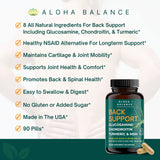 Aloha Balance Daily Back Support Supplement - Spine, Disc and Lower Back Products - Nerve, Neck and Joint Support - Glucosamine Chondroitin MSM - 90 Pills