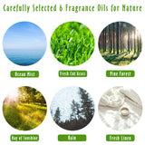 Fragrance Oils, MitFlor Nature Set of Essential Oils for Diffusers for Home, Soap & Candle Making Scents, Aromatherapy Oil Gift Set, Ocean Mist, Rain, Pine Forest and More, 6x10ml