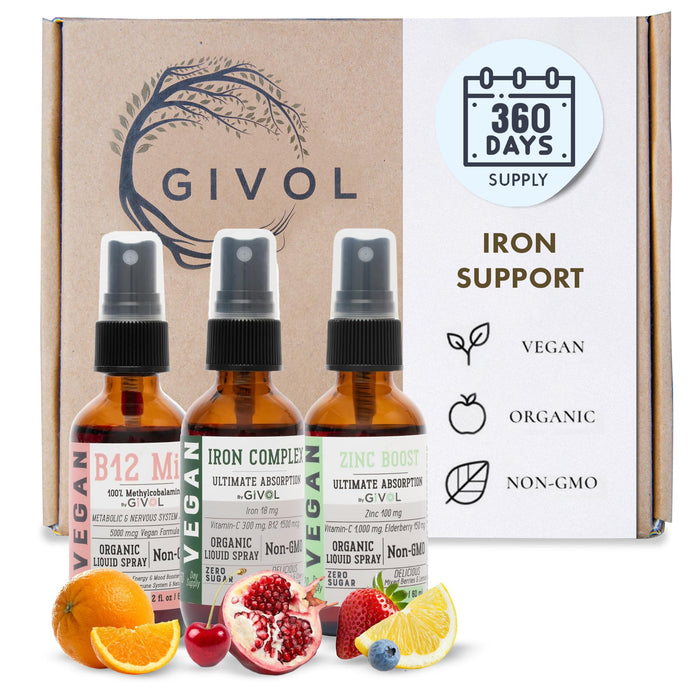 GIVOL Iron Support Spray Bundle Liquid Vitamin B12 Methylcobalamin, Zinc Picolinate, and Iron Bisglycinate | Non-GMO, Gluten-Free, Sugar-Free Iron Supplement | 2 Fl Oz Each | 360 Days Supply