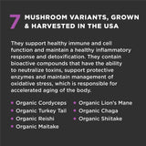 Super Snouts Super Shrooms Mushroom Immune Support Supplement for Dogs and Cats, 2.64 oz - Made in USA Organic Non-GMO, Immune Health for Strong Immunity, 7 Mushroom Blend Powder