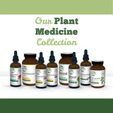 St. Francis Herbal - Deep Immune Tincture for Kids 100 ml - Natural Immune Support Booster - Vegetarian - Organic Herbs