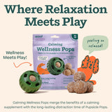 WOOF Calming Wellness Pops - Calming Dog Treats - Long-Lasting Refills for The Pupsicle Toy to Promote Calm - Magnesium for Dogs- Small Pops - 10 Count