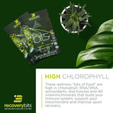 RECOVERYbits Organic Chlorella Algae Tablets, Superfood, Pure Green Algae, High Protein and Fiber, Chlorophyll, Cracked Cell Wall Non-Irradiated, for Immune Boosting and Detox, Non-GMO, 60 Tablets