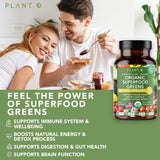 Plant.O Organic Super Greens [Fruit & Veggie Supplement] High Absorption Antioxidants from Green Powder with Alfalfa, Beet Root, Tart Cherry for Immune Support, Gut Health, Energy, 60 Veggie Tablets