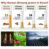 BTGIN Korean Red Ginseng Extract 3000mg Everyday, Saponin Hanppuri, Immune Booster and Focus Supplement for Brain Enhancement with Ginsenoside Rg3, Panax ginseng 6 years Root, 30Packets in 1 set