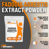 BulkSupplements.com Fadogia Agrestis Extract Powder - Fadogia Agrestis Supplement, Fadogia Agrestis 600mg - for Energy Boost, Gluten Free, 600mg per Serving, 500g (1.1 lbs) (Pack of 1)