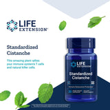 Life Extension Standardized Cistanche 30 Vegetarian Capsules
