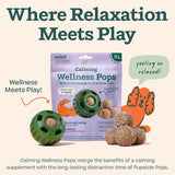 WOOF Calming Wellness Pops - Calming Dog Treats - Long-Lasting Refills for The Pupsicle Toy to Promote Calm - Magnesium for Dogs- XL Pops - 5 Count