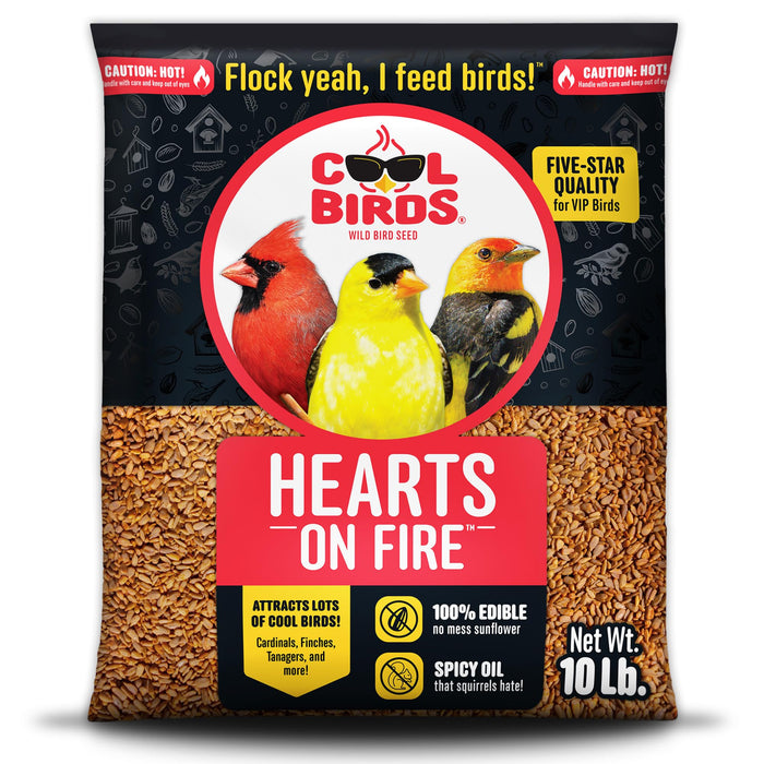 Cool Birds Hearts on Fire Hot Bird Seed – 10 lb. 100% Hulled Sunflower Hearts with Chili Pepper Oil – No Waste Bird Seed for Outside Feeders