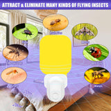 Fly Traps Indoor for Home, Plug in Bug Catcher Indoor Fly Trap, 2 Pack Fruit Fly Traps for Indoors with 20 Sticky Pads, UV Light Attractant Fly Trap, Safe Gnat Traps for House for Mosquitoes, Flies