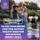 2 Pack N1N Premium 10 in 1 Immune Support Supplement [10 Potent Ingredients] with Elderberry, Vitamin C, Zinc, Echinacea, Turmeric Curcumin, Garlic and Probiotics for Adults, 120 Veg Caps