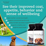 AminAvast Dog Kidney Supplement - Supports Natural Kidney Function - Promotes Health & Vitality of Aging Kidneys - Pet-Friendly, 1000mg, 60 Capsules.