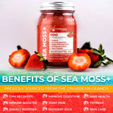 Irish Sea Moss Gel Organic Raw - Wildcrafted Superfood Seamoss Gel - Strawberry Flavor, Vitamin and Mineral-Rich from Pristine Caribbean Waters, Immune and Digestive Health Support - 10 oz.