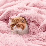 Bedsure Soft Pink Twin Blanket for Bed, Fluffy Fuzzy Blankets Twin Size for Couch, Sofa, Cozy Plush Sherpa Fleece Faux Fur Blanket, Thick Warm Christmas Blanket Gifts for Women, Men, 60x80