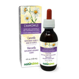 Naturalma German and Roman Chamomile (Matricaria chamomilla and Chamaemelum nobile) flower Alcohol-free Tincture 4 fl oz Liquid extract in drops - Herbal supplement - Vegan