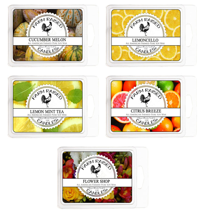 Fresh Spring Scented Wax Melts - 30 Cubes Variety - 100% USA Made - All Natural Plant Wax - Warmer Cubes Lavender, Lemon, Spring, Raspberry Vanilla, Cucumber Melon Spring Wax Melts