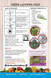 Green Lacewing Eggs - 10,000 Live Eggs Packed in Rice Hulls