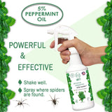 Minty Spider Repellent, Natural 5% Peppermint Oil Spray, Kills & Deters All Types of Spiders and Insects, Indoor and Outdoor Use, 16 fl oz Pint