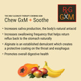 REFLUX GOURMET Tropical Soothe Gum Alginate Therapy Sodium Bicarbonate Gum for Acid Reflux, Oral, Cognitive, and Digestive Support, Natural with Ginger, Celeriac, Aloe, Sugar Free, Gluten Free, Vegan
