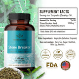 HERBAMAMA Stone Breaker Chanca Piedra Pills - Organic Chanca Piedra Stone Breaker Kidney Stones Dissolver - Kidney & Gallbladder Cleanse - 1200mg, 100 Capsules