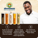 Shroomeaz Infused Flavored Toothpicks (100 Picks - 5 Pack - Variety- Vanilla, Honey, Chocolate, Orange, Mint)