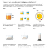 Haroutine Liposomal Vitamin C Capsules - 1200mg per Serving, High Absorption Vegan Vitamin C Capsule, Powerful Antioxidant Supplement for Immune Support, Collagen Booster & Healthy Aging