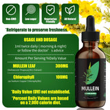 YUMOYI SPRUCE JIYIN Mullein Leaf Extract - Support Lung Cleanse & Respiratory Function for Healthy Breathing - Natural Supplement, Tincture Drops | Non-GMO, Vegetarian | 1 Month Supply 60ml