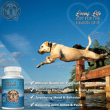 ScruffyPet Pure Omega 3 Wild Fish Oil for Dogs with Vitamin E - Highest EPA & DHA Softgels Available (1000mg) 180ct
