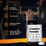 Santa Cruz Paleo Creatine Powder, Supports Muscle Growth, Gluten Free, Keto, Sugar Free, Paleo, No Fillers or Additives, Creatine Monohydrate Powder 5g per Serving, 80 Servings, 400g