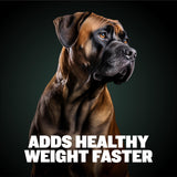 Bully Max Weight Gainer Liquid for Puppies & Adult Dogs | 2-in-1 High Calorie Multivitamin Dog Supplements & Vitamins for Weight Gain with Omega 3 & Whey Protein for All Breeds & Ages - 16 oz Bag