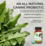 Dr. Dobias - GutSense, Advanced Prebiotic & Probiotics for Dogs, Canine-Specific Dog Probiotics, Dog Supplement for Healthy Digestion, Good Bowel Movement & Immune System, Pet Supplies, 60 Capsules
