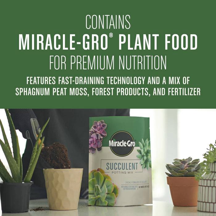 Miracle-Gro Succulent Potting Mix: Fertilized Soil with Premium Nutrition for Indoor Cactus Plants, Aloe Vera and More, 4 qt.