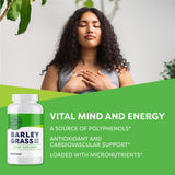 Vimergy Barley Grass Capsules, 30 Servings – Source of antioxidant - Contains Iron, Vitamin C, & Vitamin E – Non-GMO, Gluten-Free, Soy-Free, Vegan & Paleo – Daily Greens Booster (240 ct)