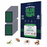 Catcher Labs Mini Insect Traps (48 Traps) | Extra Sticky Pre-Baited Glue Boards, Trap & Kill Most Crawling Insects, Bugs, Spiders, Scorpions, Cockroaches, Centipedes, Snakes